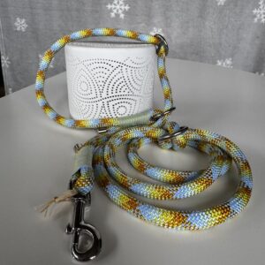 Guinzaglio retriever